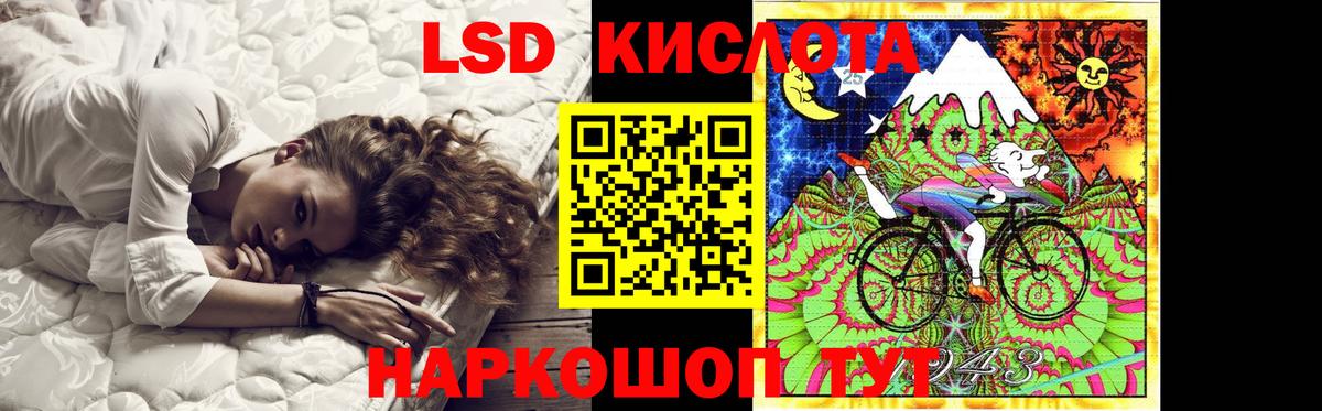 Борзя  KRAKEN маркетплейс  Вход с VPN  ЛСД экстази кислота  LSD-25 экстази кислота 