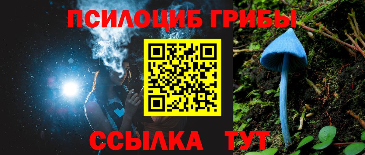 Борзя  Псилоцибиновые грибы Cubensis  Вход с VPN 
