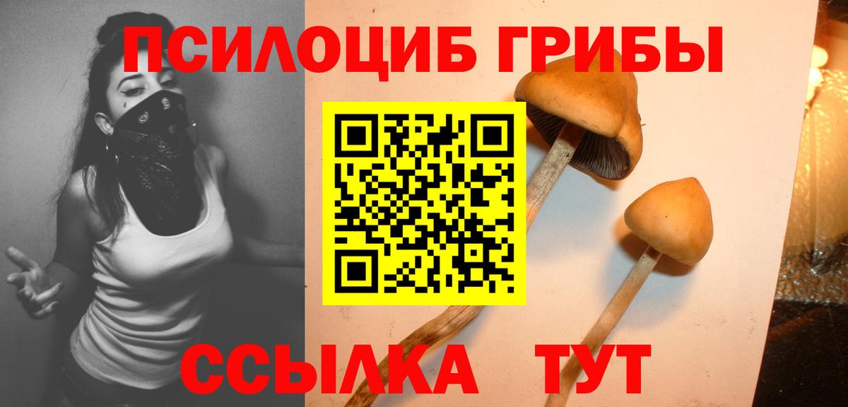 Псилоцибиновые грибы Psilocybe Борзя